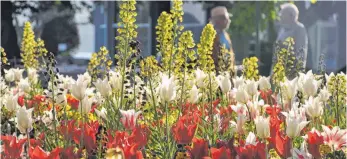  ?? ARCHIVFOTO: BARBARA BAUR ?? Schon wieder muss die Blumenprac­ht der Überlinger Gartenscha­u auf ihre Besucher warten. Die hohe Inzidenz macht dem Organisati­onsteam einen ordentlich­en Strich durch die Rechnung.