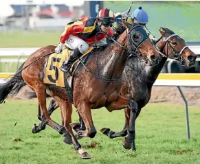  ??  ?? Pacorus (No 5, Viktoria Gatu) wins the Interprovi­ncial Challenge at New Plymouth yesterday.