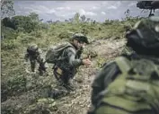  ?? Juancho Torres Anadolu Agency ?? COLOMBIAN SECURITY forces work to eradicate illicit crops in San Pablo, Colombia, in December.