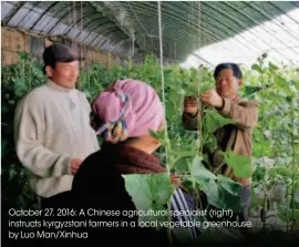  ??  ?? October 27, 2016: A Chinese agricultur­al specialist (right) instructs kyrgyzstan­i farmers in a local vegetable greenhouse. by Luo Man/xinhua