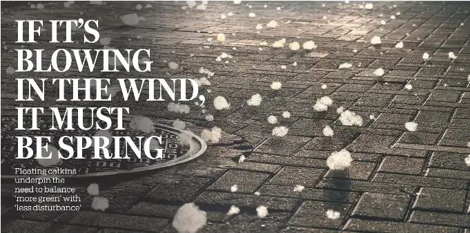 IF IT’S BLOWING IN THE WIND, IT MUST BE SPRING - PressReader