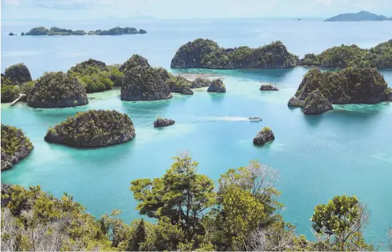  ?? TNS PHOTOS ?? GREAT VIEW: The overlook atop Pianemo Hill offers one of the most iconic views in Raja Ampat, Indonesia. The islands off the coast of Misool are perfect for kayaking, bottom.