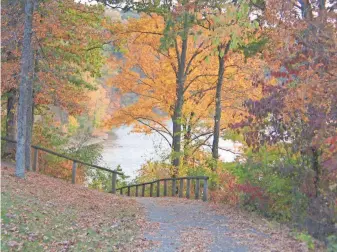  ?? STEVE STEPHENS PHOTOS/SPECIAL TO COLUMBUS DISPATCH ?? Even the short path from the lodge to the lake at Burr Oak State Park, shown from a previous year, is beautiful in autumn.