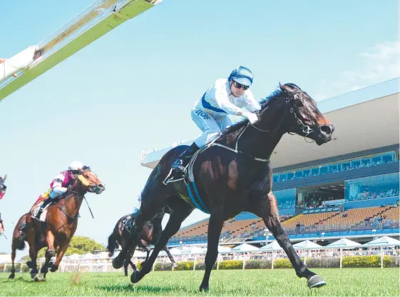  ?? Picture: TRACKSIDE PHOTOGRAPH­Y ?? Zoustyle will be looking to make it four wins from four starts in Saturday’s $125,000 Winning Rupert Plate at Doomben.