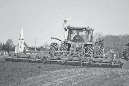  ??  ?? A farmer guides a set of harrows through a field being prepared for potato planting.