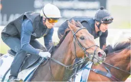  ?? Photo / Getty Images ?? Deauville Legend, ridden by Kieran McEvoy, during trackwork ahead of tomorrow’s A$8m Melbourne Cup. I wouldn’t be surprised if these kinds of events start to appeal less and less to our future generation­s, writes Myjanne Jensen.