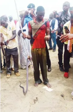  ??  ?? A cobra caught during the fishing festival