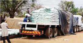  ??  ?? Government has started delivering farming inputs across the country ahead of the rainy season. The picture taken recently shows seed maize being delivered at the GMB depot in Filabusi, Matabelela­nd South province. — (Picture by Mashudu Netsianda)