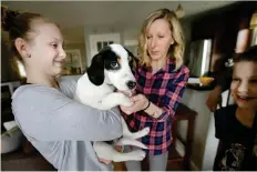  ?? STEVEN SENNE/THE ASSOCIATED PRESS ?? Morgan Fredette, 13, left, holds the family dog Roscoe as her mother Kate, centre right, and brother Lucas, 11, right, play with the dog at their home in Waltham, Mass. The family found the dog through the online platform How I Met My Dog, that is...