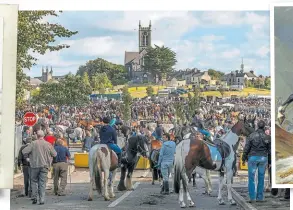  ?? PHOTO: ©ROBERT RIDDELL ?? Ballinaslo­e Horse Fair.