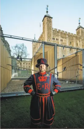  ?? Richard Lea-Hair ?? Chris Skaife is the Ravenmaste­r at the Tower of London.