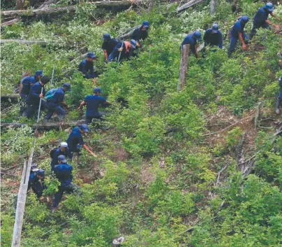  ?? / AFP ?? Tibú es el municipio con más cultivos de coca del país, con 19.334 hectáreas.