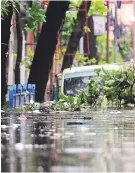  ??  ?? Above: Residents making their way through a flooded street littered with uprooted trees in Kolkata yesterday.