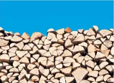  ?? ?? Hold fire: ideally, logs should be left to dry out for at least two years before use