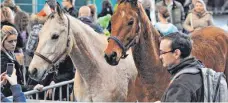  ?? FOTO: MESSE ?? Ideen und Lösungen rund ums Pferd und der Pferdehalt­ung sind beim Wettbewerb auf der Messe Pferd Bodensee gefragt.