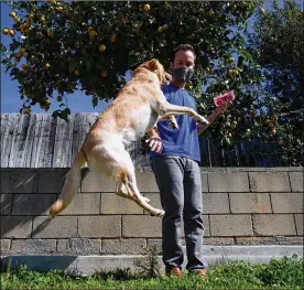  ?? GREGORY BULL / AP ?? Alex Willen brings out treats for his dogs at his home Feb. 11 in San Diego. Willen was preparing to open a dog boarding business when the pandemic hit. He decided to restart a business he’d shelved in favor of boarding, dog treats.