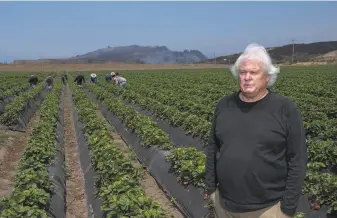  ?? Nic Coury / Special to The Chronicle ?? Jim Cochran founded Swanton Berry Farm in Pescadero. The farm couldn’t harvest for a week.