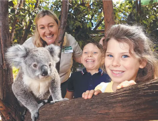  ?? Photo: Adam Head ?? CUTE ENCOUNTER: Currumbin Wildlife Sanctuary koala keeper Kylie Lawless koala keeper with Conor and Maddie Witting from Burleigh Waters and koala baby Yalnun.