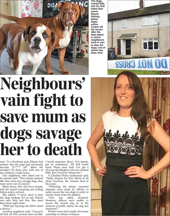  ??  ?? The dogs, named Billy and DJ, that killed their owner Elayne Stanley, below. Right, police cordon off the house after the fatal attack in which neighbours tried in vain to stop the dogs, one of whom has been shot