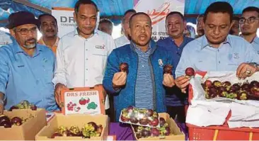  ?? PIC BY MOHD RAFI MAMAT ?? Pahang Rural Developmen­t, Agricultur­e and Agro-Based Industry Committee chairman Datuk Seri Shafik Fauzan Shariff (second from right) at the ‘Flag Off Mangosteen­s to Europe and China’ event in Bentong yesterday.