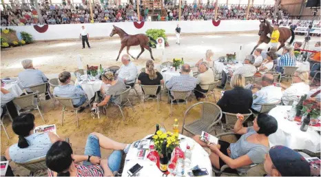  ?? FOTO: THOMAS WARNACK ?? Zum ersten Mal gibt es eine V.I.P-Lounge in der Reithalle. Von dort aus hatten die potenziell­en Käufer bei der Versteiger­ung einen guten Blick auf die Elitefohle­n.