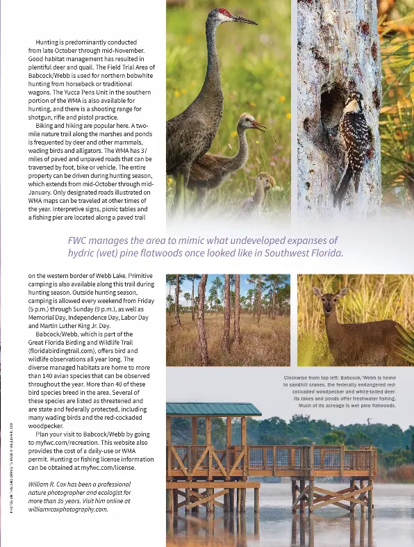 BABCOCK/WEBB WILDLIFE MANAGEMENT AREA PressReader