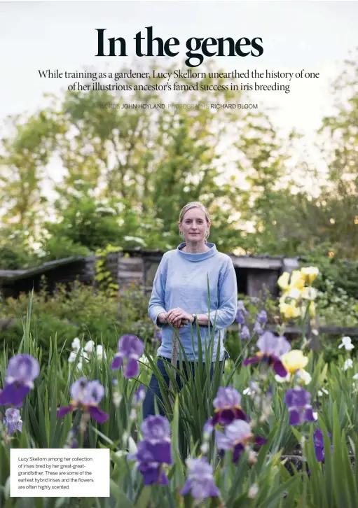  ??  ?? Lucy Skellorn among her collection of irises bred by her great-greatgrand­father. These are some of the earliest hybrid irises and the flowers are often highly scented.