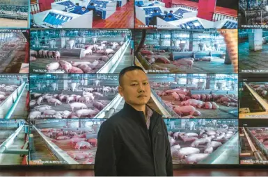  ?? GILLES SABRIE/THE NEW YORK TIMES ?? Jin Lin, general manager of a high-tech pig farm in Ezhou, China, stands with livestock monitor screens.