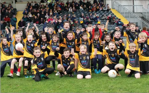  ??  ?? Fermoy U7 and U8 players after they played at half-time of last Sunday’s Munster Club Intermedia­te Football Final in Mallow. Photo by Eric Barry