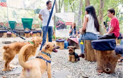  ?? FOTO EDWIN BUSTAMANTE ?? Ambientali­stas pidieron afianzar la adopción con puestos interactiv­os del Centro La Perla en centros comerciale­s, como quedó consignado en el Plan de Desarrollo de Medellín.