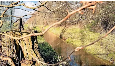  ?? RP-FOTO: ZEHRFELD ?? Der Mommbach in Voerde. Das Gewässer durchfließ­t das Naturschut­zgebiet Momm-niederung. Mitte Januar wurde es stark verunreini­gt.