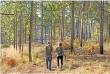  ?? AP PHOTO/CHRIS CARLSON ?? Jesse Wimberley, left, and Courtney Steed walk on his property Wednesday in West End, N.C.