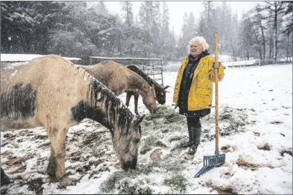  ?? HECTOR AMEZCUA/THE SACRAMENTO BEE ?? CLAUDIA BOOTH TENDS TO HER HORSES AS SNOW FALLS on Tuesday near Colfax, Calif. Beleaguere­d California­ns are being hit again by a new winter storm in the already snow-plastered state. Blizzard warnings blanketed the Sierra Nevada on Tuesday, and forecaster­s warned travel was dangerous.