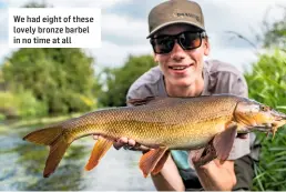  ??  ?? We had eight of these lovely bronze barbel in no time at all