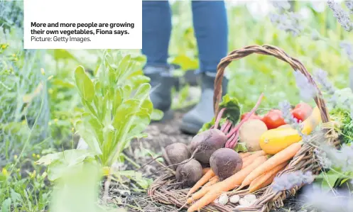  ?? Picture: Getty Images. ?? More and more people are growing their own vegetables, Fiona says.