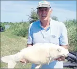  ??  ?? Matchman Lou Page caught a stunning low double-figure ghost carp on Scroggins lake at the Marshside Fishery near Canterbury