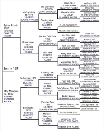  ??  ?? Pedigree of Jenny (1891): By Sykes Rondo out of May Mangum, this great mare was born and bred in Texas. Her breeding is partly Alsup but contains direct lines to Steel Dust, Shiloh, the original Printer and *Little Janus.