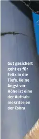  ??  ?? Gut gesichert geht es für Felix in die Tiefe. Keine Angst vor Höhe ist eine der Aufnahmekr­iterien der Cobra