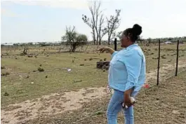  ?? ?? DRDAR MEC Nonkqubela Pieters looks at the fence delivered by the Department to Siphiwo Yose’s farm and on the right is some of Yose’s livestock.