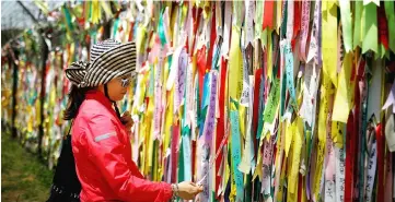  ??  ?? A woman looks at ribbons bearing messages wishing for the unificatio­n of two Koreas that decorate a barbed-wire fence near the demilitari­zed zone separating the two Koreas in Paju, South Korea. — Reuters photo