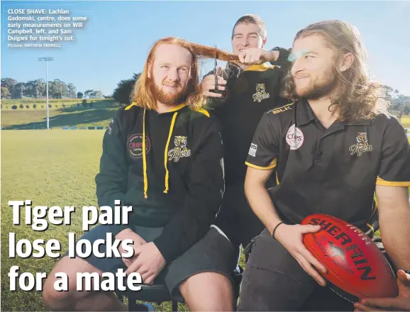  ?? Picture: MATHEW FARRELL ?? CLOSE SHAVE: Lachlan Gadomski, centre, does some early measuremen­ts on Will Campbell, left, and Sam Duigani for tonight’s cut.