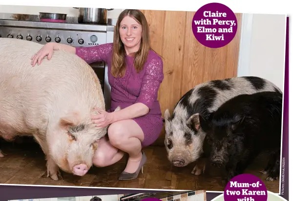  ?? Pictures: ?? Paul, 50, who owns a building company, and their four sons aged between 12 and 20. They have four pigs — Percy, Pablo, Kiwi and elmo. Claire says: Claire with Percy, Elmo and Kiwi
