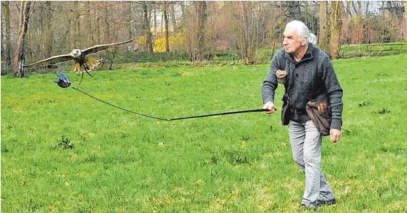  ?? FOTO: ROLAND RAY ?? Mit dem Federspiel animiert Leo Mandlsperg­er den Falken zu rasanten Flugmanöve­rn.