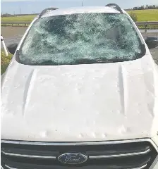Softball-sized hail hammered drivers during wild storm - Calgary Herald