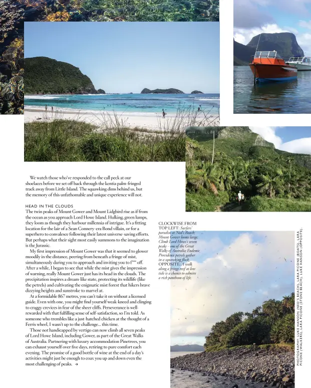  ??  ?? CLOCKWISE FROM TOP LEFT: Surfers’ paradise at Ned’s Beach; Mount Gower looms large; Climb Lord Howe’s seven peaks – one of the Great Walks of Australia; Endemic Providence petrels gather in a squawking flock . OPPOSITE: A walk along a fringe reef at...