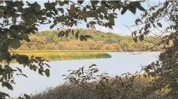  ?? COURTNEY LYNN SHEPPARD GETTY IMAGES ?? Cootes Paradise is a nature sanctuary and paddling destinatio­n in Hamilton.