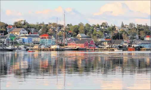  ?? SUBMITTED PHOTO ?? Anthony Tong, a chemistry professor at Acadia University, recommends that municipal officials divert effluent away from popular tourist areas.