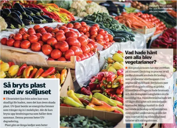  ??  ?? Det skulle finnas både för- och nackdelar om alla blev vegetarian­er.