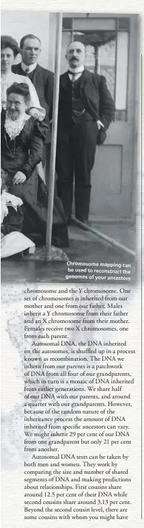  ??  ?? Chromosome mapping can be used to reconstruc­t the genomes of your ancestors