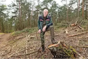  ?? Foto: René Meinig ?? Die ersten Bäume sind für die neuen Leitungen quer durch die Heide bereits gefällt worden. Heiko Müller von Sachsenfor­st hat aber darauf geachtet, dass die Eingriffe möglichst gering bleiben.